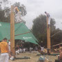 Holzhacker Wettbewerb in St.Helens (Tasmanien)