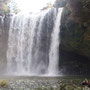 Rainbow Wasserfall in der Gegend von Kerikeri