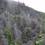 wild zerklüfteter Weg auf Niue