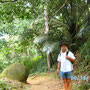 Urwald auf Ilha Grande