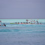 Kanurennen auf Bora Bora