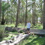 Rustaq - Wadi Hammam