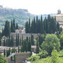 Orvieto