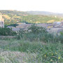 Urbino