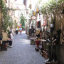 Orvieto