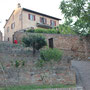 Urbino