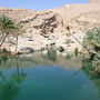 Tour nach Sur, Wadi Bani Khalid