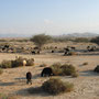 Tour nach Rustaq 