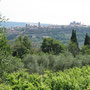 Orvieto