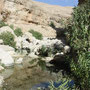 Tour nach Sur, Wadi Bani Khalid