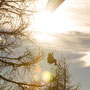picture taken by Alois Rettenbacher