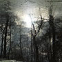 René HOCH                   "Reflets"   Photo autorisation exceptionnelle)