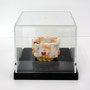 Low pixel CG 「POP ICON」 -Shino-　　　       2008  ceramic,Acryl box  9.5×9.5×9.5(cm)