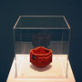 Low pixel CG 「POP ICON」 -aka raku-　　　       2012  ceramic,Acryl box  15×15×15(cm)