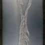 輝き　－水神の羽－<br> 第２回調布美術展　入選<br> 2005作　ステンレス・スチレンボンド　H100×W35㎝ 