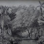 Jardin botanique de Saint-Pierre en Martinique