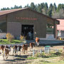 La ferme de la Batailleuse - Rochejean (29)