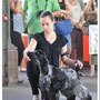 03.07.2011 Bra (CN): Puppy Class - 1° VP - Best Puppy - Adinolfi Enrico (IT)