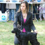 18.04.2010 Albenga (SV): Puppy Class - 1° VP - Best Puppy - Bauchal Gianfranco (IT) - 2BIS Puppy