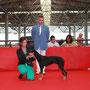 15.07.2012 Salice D'Ulzio: Puppy Class - 1°VP - Puppy BOB - Claudio De Giuliani (IT)