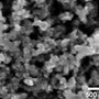 Detalle de nanoparticulas de plata (nanopolvo). Microscopía electrónica de barrido