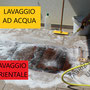 offerta lavaggio tappeti trieste, tabriz carpet lavaggio professionale tappeti