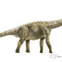 Petit atlas des dinosaures - Edition Delachaux et Niestlé - 2011
