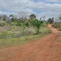 typische Pantanal Straße