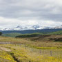 patagonische zusammenfassung -zaun-pampa-wald-berg-
