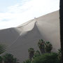dunes in the oasis