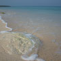 coral stone at playa blanca