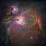 TunaOrion