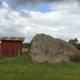 TunaVänner