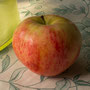 TunaÄpple