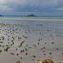 Ein Tag am Strand von St. Pabu