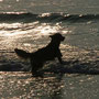 ein bisschen im Wasser toben