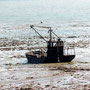 Cancale