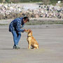 Sables d'Or les Pins