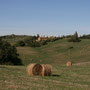 Pienza