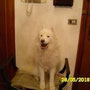 BYRON CATANIA ADOTTATO