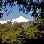 Sicht auf den Vulkan Villarrica auf der Wanderung im N.P. Huerquehue