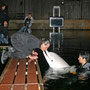 "SPETTER!" JETIX Mei 2007  Dolfinarium Harderwijk