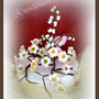 Kirschblüten/Cherry-Blossom