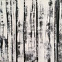 100 x 100 cm