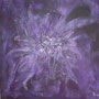 Eisblume 100 x 100cm