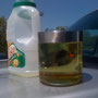 Raw canola oil, like most vegetable oils, through a fairly simple chemical process, can be converted into non-toxic BioDiesel.  The relatively clear fluid at the top of the bottle are seperated monolipid Biodiesel from Canola.