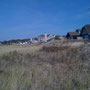 looking North from the future building site.