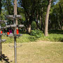 Der "Waldfriedhof" am Wiener Zentralfriedhof: Urnenbestattung