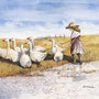 herding the geese