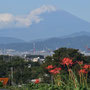 松田：小出川から少し外れたところに富士を見る場所(宇都母知神社傍／富士見の丘)があります。写真家が多く集まります。